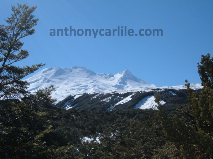 Anthony Carlile_357.png